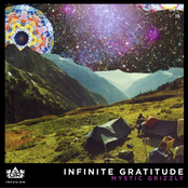 Mystic Grizzly: Infinite Gratitude