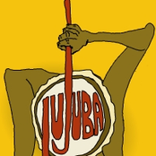 Jujuba