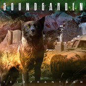 Birth Ritual by Soundgarden