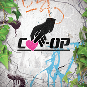 Co-Op