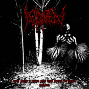 The Ache I Felt and the Mark it Left