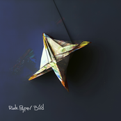 Rock Paper Bird