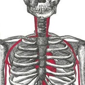 Aspergers / It's More Like A Message To You Split