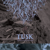 Life's Denial by Tusk