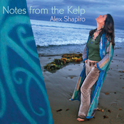 Notes from the Kelp