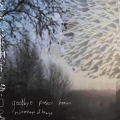 goodbye perfect heaven