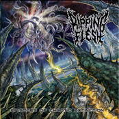 Episodes Of Chaotic Extinction