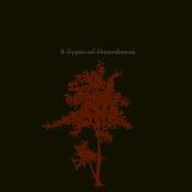 8 Types of Heartbreak