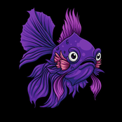 Purple Goldfish