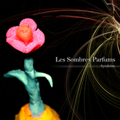 Les Sombres Parfums