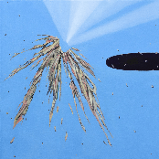 I'll Love You All The Time (Art by Tae Hyunyoung)