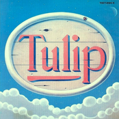 tulip land