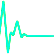 The Pulse