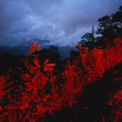 The Heart Beating as None