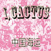 China Shipping Co. by I, Cactus