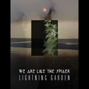 Untitled Album