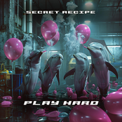 Secret Recipe: PLAY HARD
