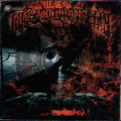 Giấc Mơ Hoang Tàn