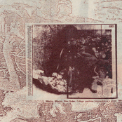 Ansina como endenantes