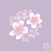 mxmtoon: plum blossom