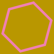 IL SUONO DELLE API / LA VIBRAZIONE DEL COSMO