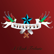 Strummer A Clash Tribute