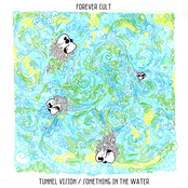 Tunnel Vision / Something in the Water - Single