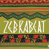 Zebrabeat Afro-amazônia Orquestra