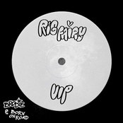 Rig Fairy (feat. Kelvin 373, Selecta J-Man and Aries) [VIP]