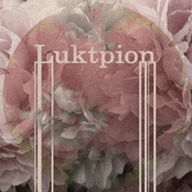 Luktpion