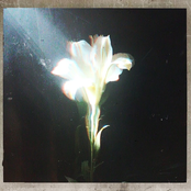 Light That Leads Me - Single