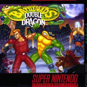 battletoads and double dragon:  the ultimate team