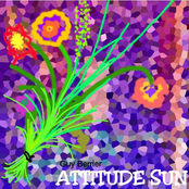 ATTITUDE SUN
