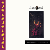 Koivunrunkorakkautta