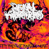 50 Tracks Of Punishing Noise