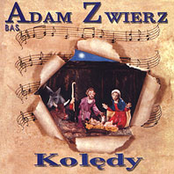 Kolędy
