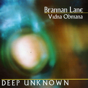 brannan lane / vidna obmana