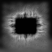 Ænima Covers