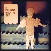 A Plunge into the Sea