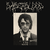 Can't Help Falling in Love