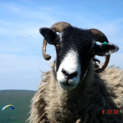 Rushup Edge (2017 Reissue)