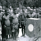 mbuti pygmies