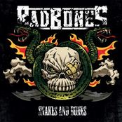 Snakes and Bones