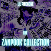 The Zanpook Collection