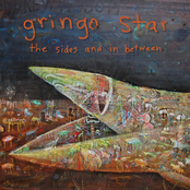 Gringo Star: The Sides And In Between