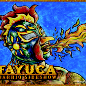 Sigo Amandote by Fayuca