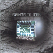 Barbed Wire by Saints Of Eden
