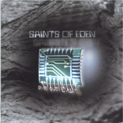 Another Dark Day by Saints Of Eden