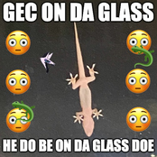 gec on da glass
