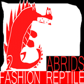 Fashion Reptile